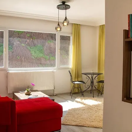 Cozy And Central Near Historical Lift And Shore In Konak, Daire *