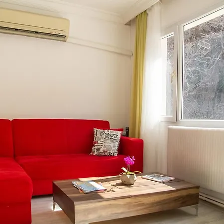 Cozy And Central Near Historical Lift And Shore In Konak, Apartment